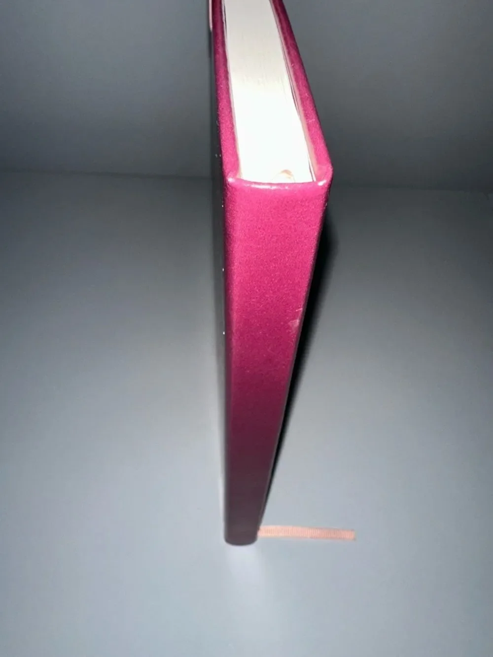 Steel Mill Burgundy Floral Pride & Prejudice Book Club Elastic Cord Journal